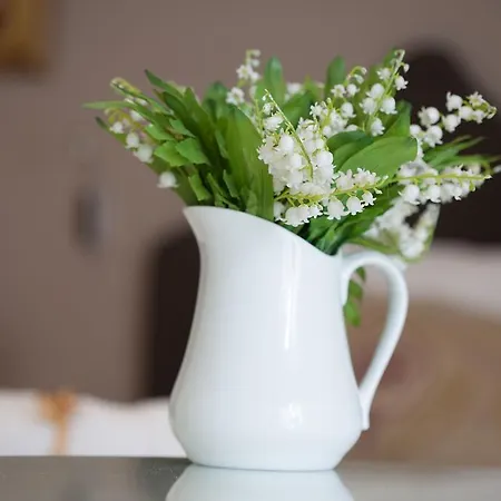 Belle - Luxury Apartament *