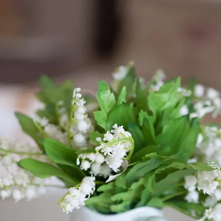 Belle - Luxury Appartement Belgrado